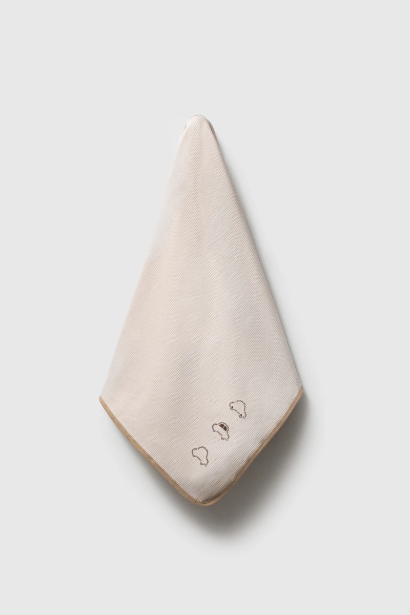 Car - Blanket