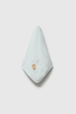 Little Plane - Battaniye